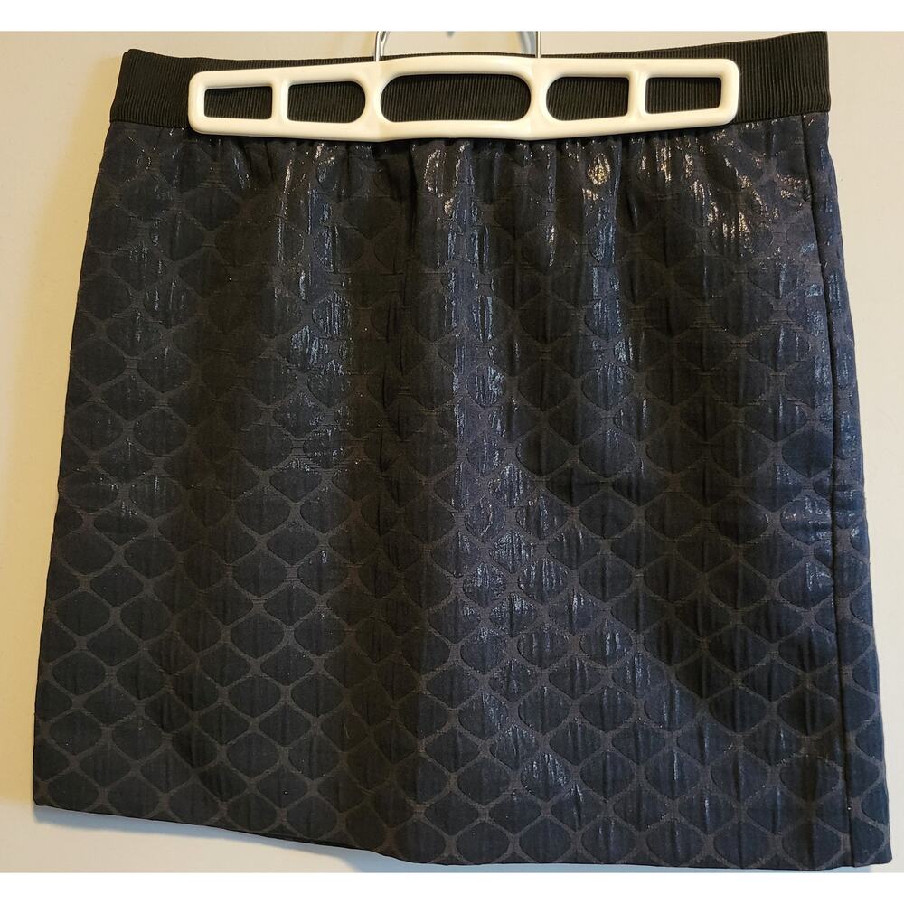 Ann Taylor Loft Skirt in Shimmery Navy - Women's 4P